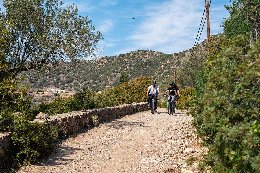 Aegina Bike Tours